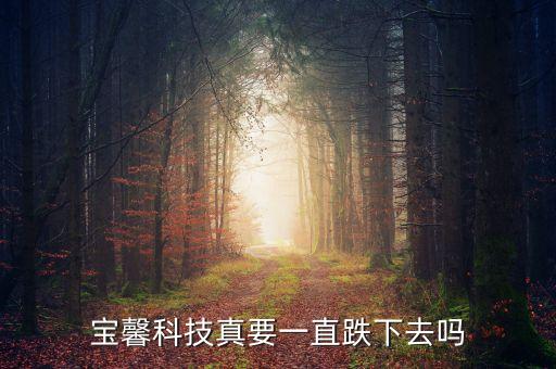 寶馨科技真要一直跌下去嗎