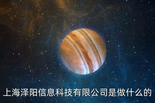 上海澤陽(yáng)信息科技有限公司是做什么的