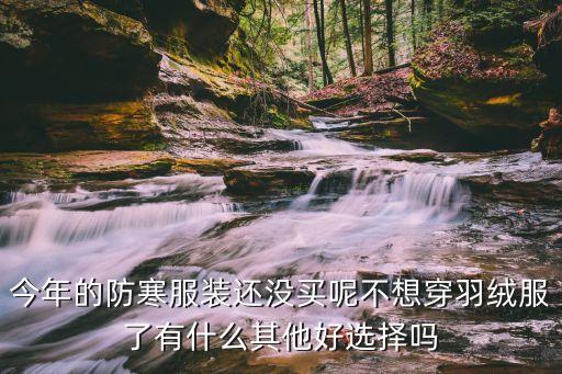 今年的防寒服裝還沒買呢不想穿羽絨服了有什么其他好選擇嗎