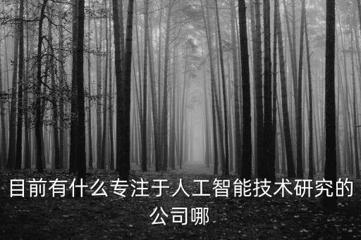 智能科技公司有哪些，目前有什么專(zhuān)注于人工智能技術(shù)研究的公司哪