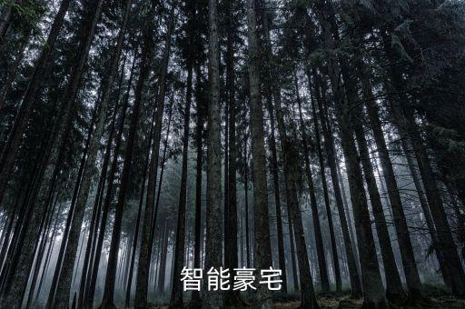 智能科技豪宅是什么，智能豪宅