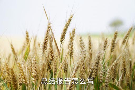 智能科技行業(yè)總結(jié)范文怎么寫，總結(jié)報(bào)告怎么寫