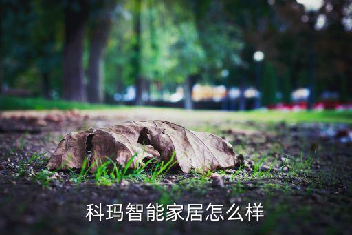 科瑪智能家居怎么樣