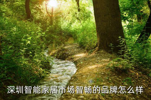 深圳智能家居市場智暢的品牌怎么樣