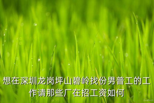 想在深圳龍崗坪山碧嶺找份男普工的工作請(qǐng)那些廠在招工資如何