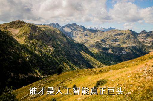 人工智能的科技巨頭有哪些，國內(nèi)都哪些比較牛的人工智能公司