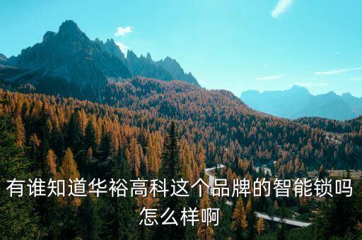 有誰知道華裕高科這個品牌的智能鎖嗎怎么樣啊