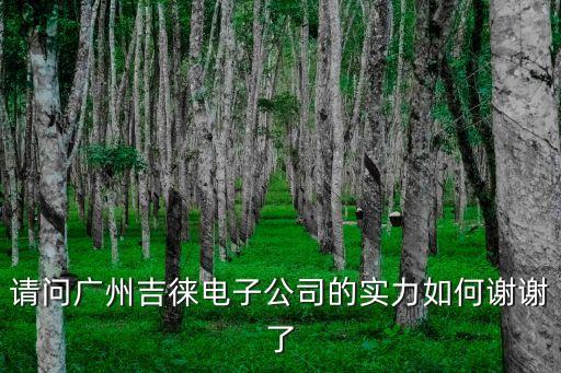 請問廣州吉徠電子公司的實(shí)力如何謝謝了