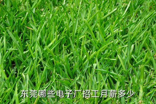 東莞哪些電子廠招工月薪多少