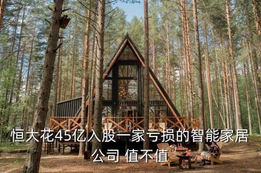 恒大花45億入股一家虧損的智能家居公司 值不值