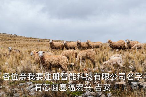 各位親我要注冊智能科技有限公司名字有芯圓塞福宏興 吉安