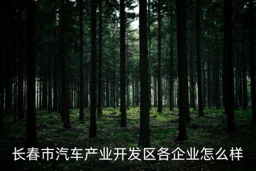長(zhǎng)春市汽車產(chǎn)業(yè)開發(fā)區(qū)各企業(yè)怎么樣