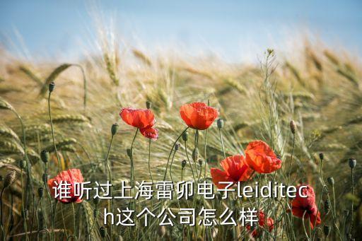 誰聽過上海雷卯電子leiditech這個公司怎么樣