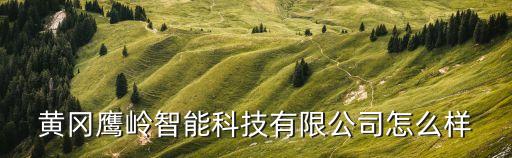 黃岡鷹嶺智能科技有限公司怎么樣
