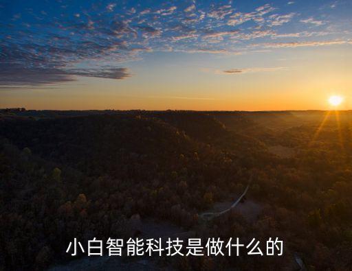 小白智能科技是做什么的