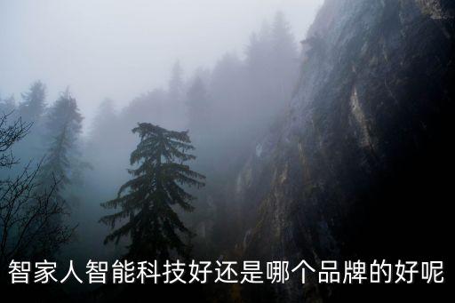 智家人智能科技好還是哪個品牌的好呢