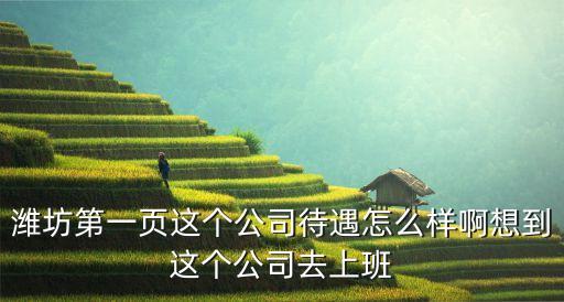 濰坊同興智能科技怎么樣，濰坊第一頁這個公司待遇怎么樣啊想到這個公司去上班