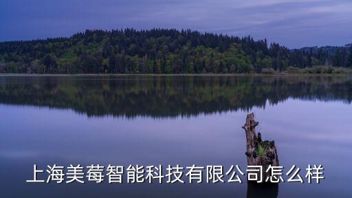 上海最智能科技怎么樣了，珊口上海智能科技有限公司怎么樣