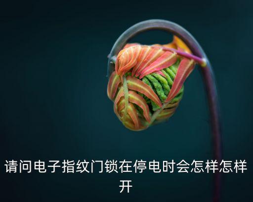 科技智能鎖怎么開(kāi)通，如何開(kāi)一家智能指紋鎖體驗(yàn)店
