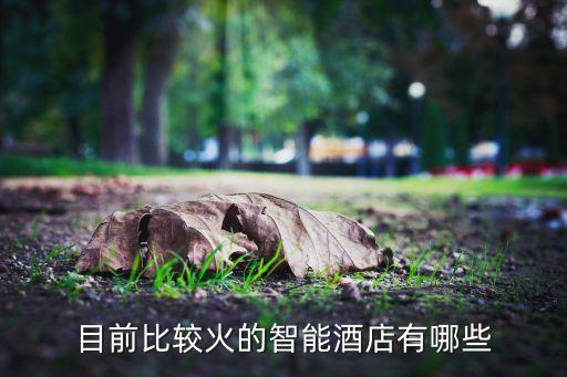 目前比較火的智能酒店有哪些