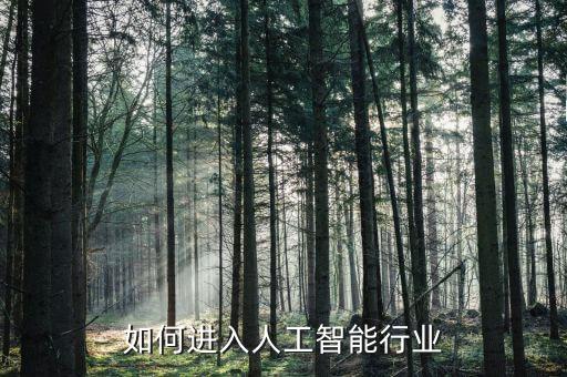 如何進入人工智能行業(yè)