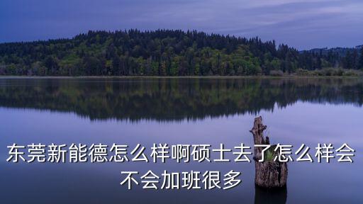 東莞新能德怎么樣啊碩士去了怎么樣會(huì)不會(huì)加班很多