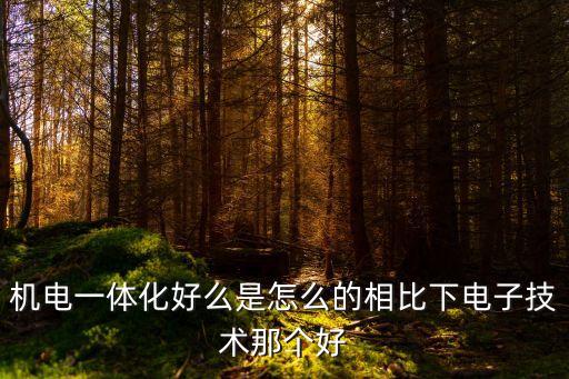機(jī)電一體化好么是怎么的相比下電子技術(shù)那個(gè)好