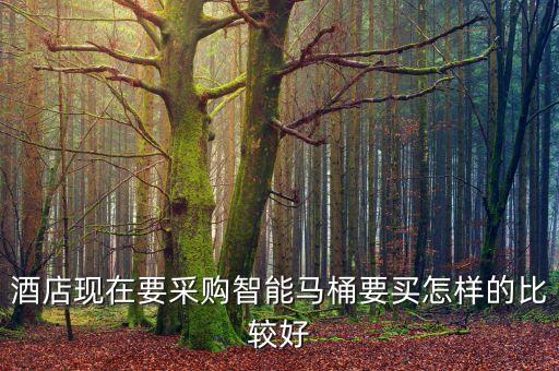 科技酒店智能馬桶怎么樣，酒店現(xiàn)在要采購(gòu)智能馬桶要買怎樣的比較好