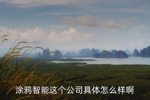 涂鴉智能這個(gè)公司具體怎么樣啊