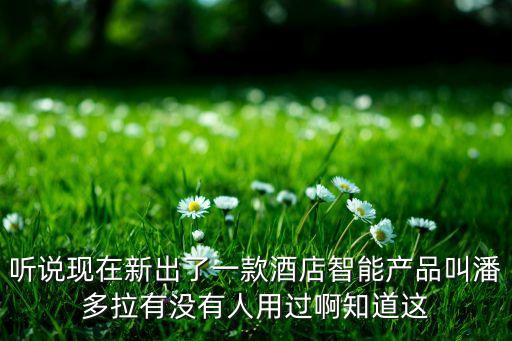 聽(tīng)說(shuō)現(xiàn)在新出了一款酒店智能產(chǎn)品叫潘多拉有沒(méi)有人用過(guò)啊知道這