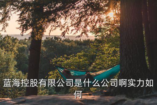 藍(lán)海智能科技是什么，通藍(lán)海科技三遞板有哪些特點(diǎn)