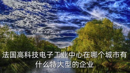 法國高科技電子工業(yè)中心在哪個城市有什么特大型的企業(yè)
