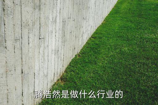 騰浩然是做什么行業(yè)的