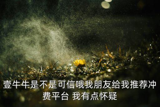 壹牛牛是不是可信哦我朋友給我推薦沖費平臺 我有點懷疑