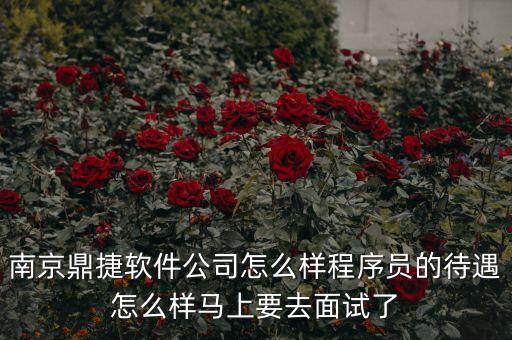 南京鼎捷軟件公司怎么樣程序員的待遇怎么樣馬上要去面試了