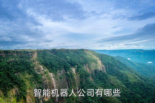 智能機(jī)器人公司有哪些