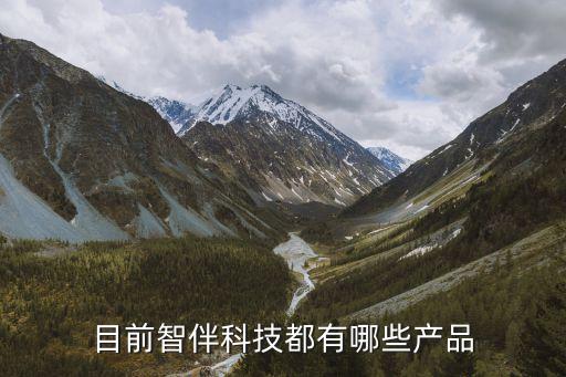 目前智伴科技都有哪些產(chǎn)品