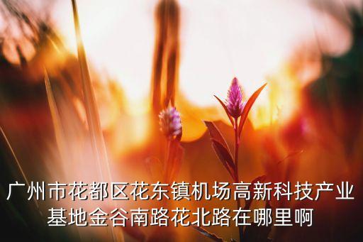 花都智能科技園在哪里辦公，廣州市花都區(qū)花東鎮(zhèn)機(jī)場(chǎng)高新科技產(chǎn)業(yè)基地金谷南路花北路在哪里啊