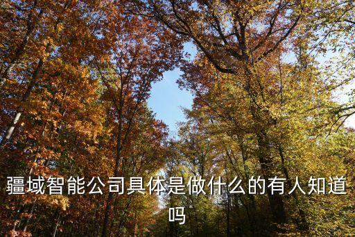 疆域智能公司具體是做什么的有人知道嗎