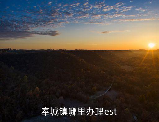 奉城鎮(zhèn)哪里辦理est