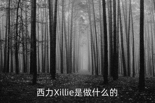 西力Xillie是做什么的