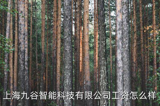 上海九谷智能科技有限公司工資怎么樣