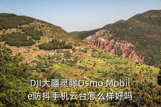 靈眸智能科技怎么樣，大疆靈眸怎么樣