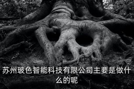 蘇州玻色智能科技有限公司主要是做什么的呢
