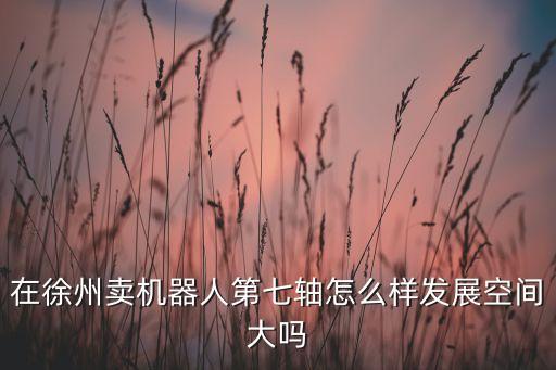 在徐州賣機器人第七軸怎么樣發(fā)展空間大嗎