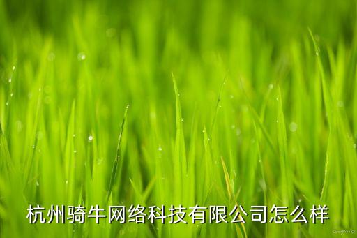 杭州騎牛網(wǎng)絡(luò)科技有限公司怎么樣