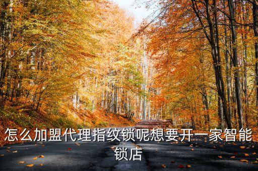 怎么加盟代理指紋鎖呢想要開一家智能鎖店