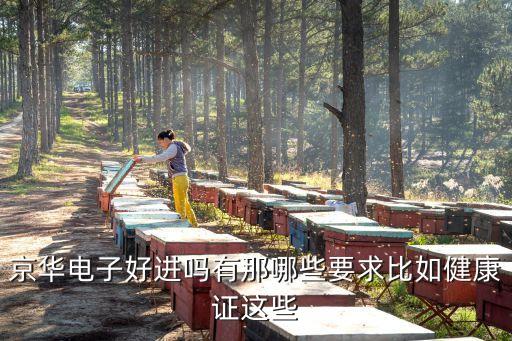 京華電子好進(jìn)嗎有那哪些要求比如健康證這些