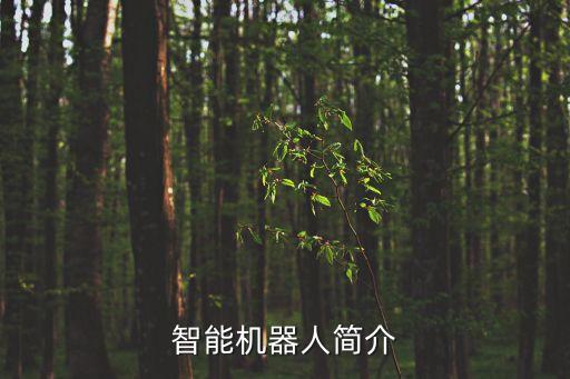 智能機(jī)器人簡介