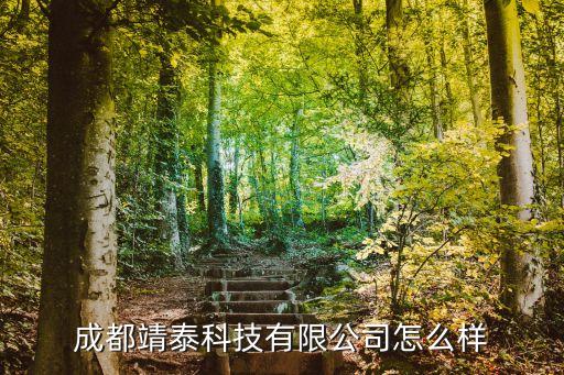 成都頤泰智能科技怎么樣，成都靖泰科技有限公司怎么樣
